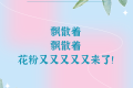 花粉季又又又又又來了，“過敏星人”怎樣度過？縮略圖