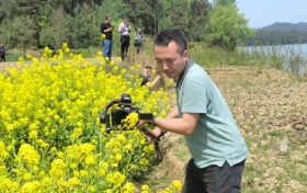 煙花三月，驚艷紅寺湖縮略圖