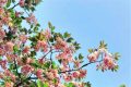 升溫！升溫！漢中向30℃發(fā)起進(jìn)擊！縮略圖