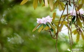 春游前，這份急救指南請(qǐng)先收好！縮略圖