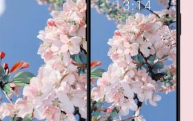 絕美春日壁紙已上新！將漢臺(tái)美景裝進(jìn)手機(jī)→縮略圖
