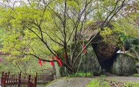 踏青賞春正當時，相約漢江源享受好春光縮略圖