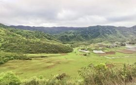 夏天來了，起居、飲食、運(yùn)動(dòng)有講究縮略圖