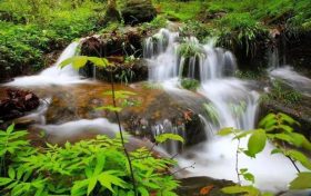 清涼避暑，到漢江源來吧~縮略圖