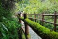 “自媒體”13條管理規(guī)定：低俗人設(shè)、違背公序良俗網(wǎng)紅不得賦予營利權(quán)限縮略圖