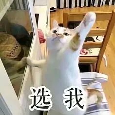 快來(lái)隨手拍城固，贏2000元大獎(jiǎng)！