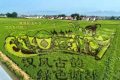 喜報(bào)！城固入選國(guó)家級(jí)創(chuàng)建單位名單縮略圖