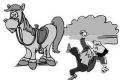 騎馬游玩致游客摔傷，誰來擔(dān)責(zé)？縮略圖