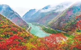 不負(fù)美景不負(fù)秋！不管你去不去，這份秋日攻“略”都值得收藏！縮略圖