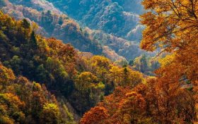 期待一下，佛坪的絢爛秋日就快來啦！縮略圖