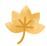 又是一年彩林季，漢江源彩林搶先看~