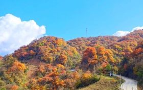 又是一年彩林季，漢江源彩林搶先看~縮略圖