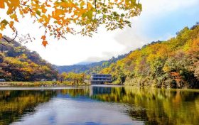 今日迎來霜降節(jié)氣 這是秋天結束、冬天到來的交界點縮略圖