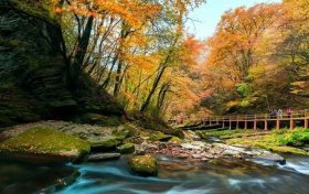 重磅！漢中這家4A景區(qū)全民免門票！縮略圖
