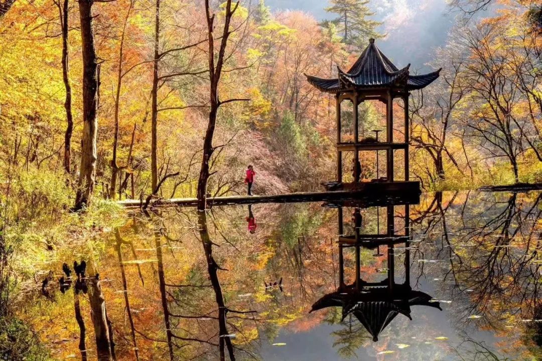 10月1日，漢中黎坪景區(qū)秋高氣爽、景色秀美，還不擁擠，趕緊出發(fā)嘍！