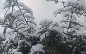 強風雨天氣來襲，24日正式進入霜降節(jié)氣縮略圖