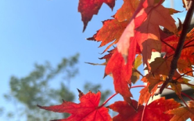 近期氣溫為啥偏高？專家解釋來了縮略圖