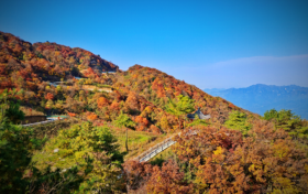 已經(jīng)紅了，快來漢江源看彩林！縮略圖