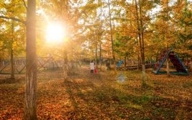 有一種美叫做西鄉(xiāng)的秋天！縮略圖