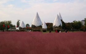 打卡！漢中城區(qū)這里人氣最高→縮略圖