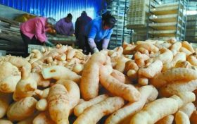 省級示范基地認定！漢中上榜名單→縮略圖