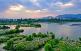 喜報！南鄭再添“國字號”招牌，成為全國示范！縮略圖