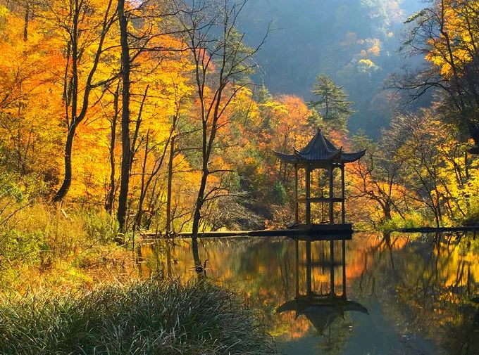 重磅！漢中這家4A景區(qū)全民免門(mén)票！