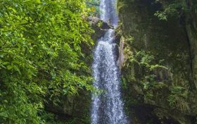 大霧黃色預警！漢中這些地方能見度低→縮略圖