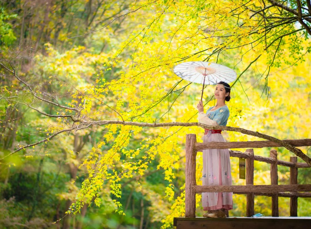 10月1日，漢中黎坪景區(qū)秋高氣爽、景色秀美，還不擁擠，趕緊出發(fā)嘍！