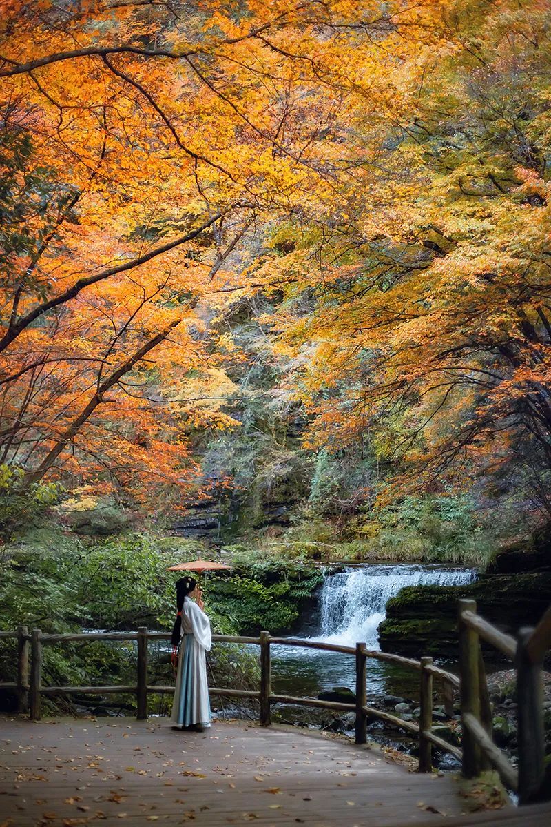 10月1日，漢中黎坪景區(qū)秋高氣爽、景色秀美，還不擁擠，趕緊出發(fā)嘍！