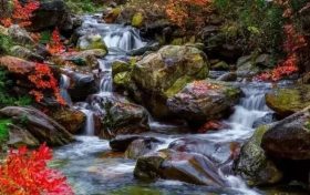 深秋美景正當(dāng)時(shí)，最美的佛坪秋意送給你~縮略圖