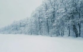 陜西最新預警！氣溫創(chuàng)新低！這些區(qū)域還有雨雪→縮略圖