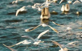 邂逅初冬，漢臺這些風(fēng)景幀幀如畫！縮略圖