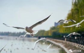 奔赴漢臺，來場暖冬之旅！縮略圖