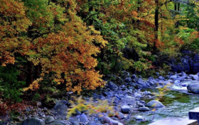 秋日勝春朝！佛坪的晚秋美景太絕了!縮略圖