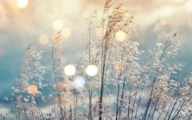 氣溫短暫回升！下周冷空氣再度來襲縮略圖