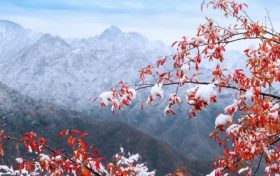 天冷不穿秋褲會(huì)凍出關(guān)節(jié)炎？醫(yī)生：關(guān)節(jié)炎不是“凍”出來的但秋褲該穿還得穿縮略圖
