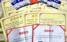 優(yōu)秀！城固縣兩名學生喜獲世界機器人大賽國賽二等獎 →縮略圖