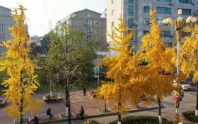 今日迎來大雪節(jié)氣 未來三天陜西以晴到多云天氣為主縮略圖