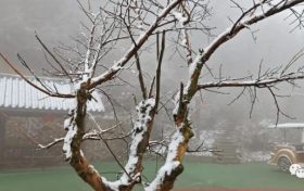 12月全國(guó)將有四次冷空氣過程縮略圖