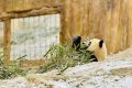 漢中多地下雪了，陜西氣象最新發(fā)布→縮略圖