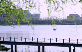 寒潮來了！今明兩天陜西部分地區(qū)有雨夾雪、刮風(fēng)天氣縮略圖