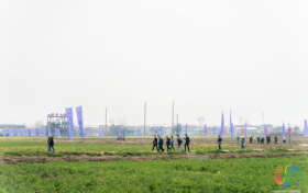 數(shù)字經(jīng)濟(jì)引領(lǐng)高質(zhì)量發(fā)展 漢中市城固縣踏上充滿光榮夢想的遠(yuǎn)征縮略圖 數(shù)字經(jīng)濟(jì)引領(lǐng)高質(zhì)量發(fā)展 漢中市城固縣踏上充滿光榮夢想的遠(yuǎn)征縮略圖