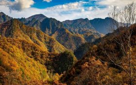 冬日快來(lái)佛坪，體驗(yàn)零霧霾小城大口呼吸的暢快！縮略圖