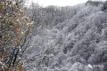 雨雪天氣今晚就到！安全防御指南請收好→縮略圖