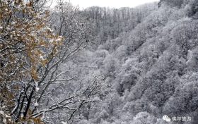 雨雪天氣今晚就到！安全防御指南請收好→縮略圖