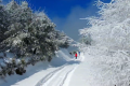 一場浪漫冬雪，讓鎮(zhèn)巴美出圈！縮略圖