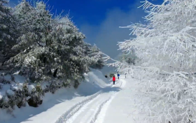 一場浪漫冬雪，讓鎮(zhèn)巴美出圈！縮略圖