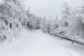 雨夾雪！小雪！小到中雪！漢中氣象發(fā)布黃色預(yù)警信號(hào)→縮略圖