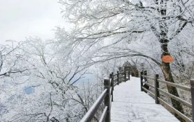 龍頭山今日又下雪啦，每一幀都是“限定浪漫”！縮略圖